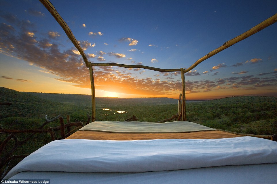 Кения, гостиница "Loisaba Wilderness Lodge"