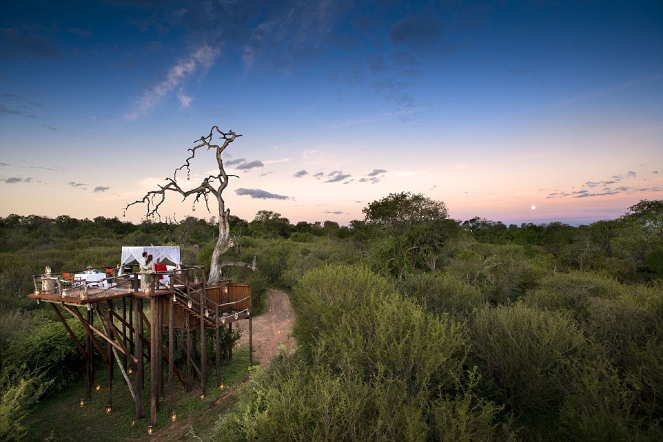 Южная Африка, гостиница "Lion Sands Game Reserve"