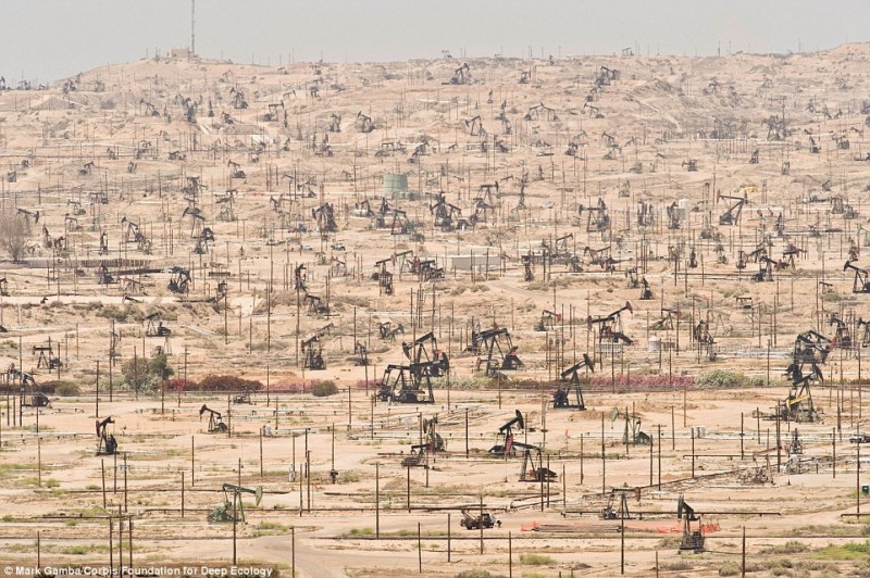 Нефтяное поле в Калифорнии и его беспощадная эксплуатация человеком.