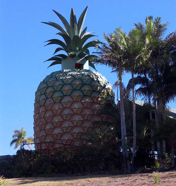 Большой ананас (Намбур, Квинсленд)