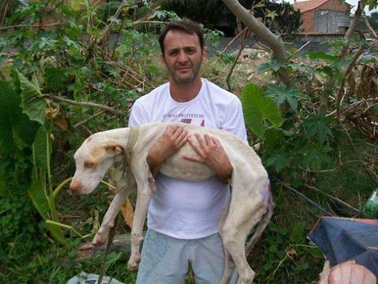 Потому что этот человек - Уилсон Кутиньо Мартинс - сделал все, что в его силах для спасения этого пса!