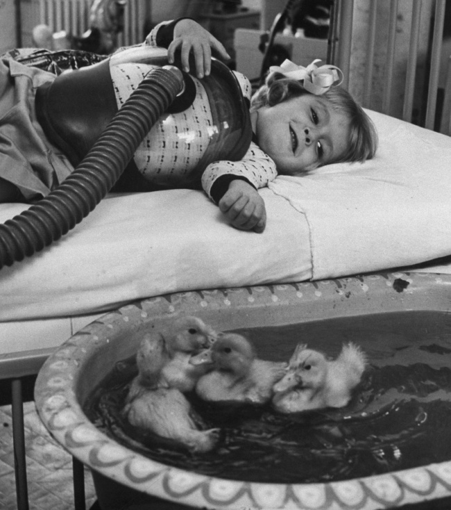 Уточки как часть медицинской терапии, 1956.
