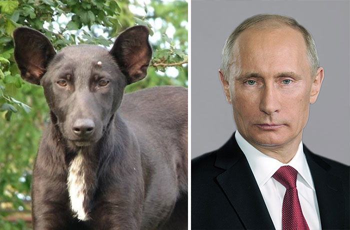 Собственно сам Путин