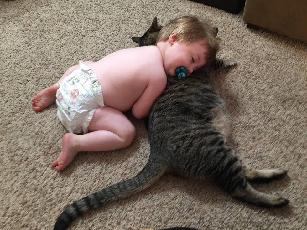 Теперь они всегда спят вместе, и даже когда Ас подрос, кот остается его любимой подушкой