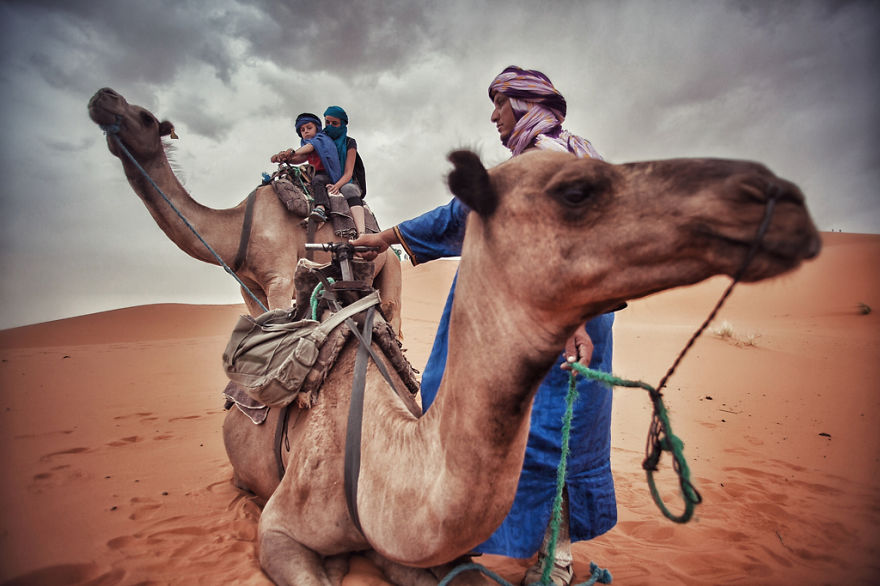 Катание на верблюдах в Сахаре