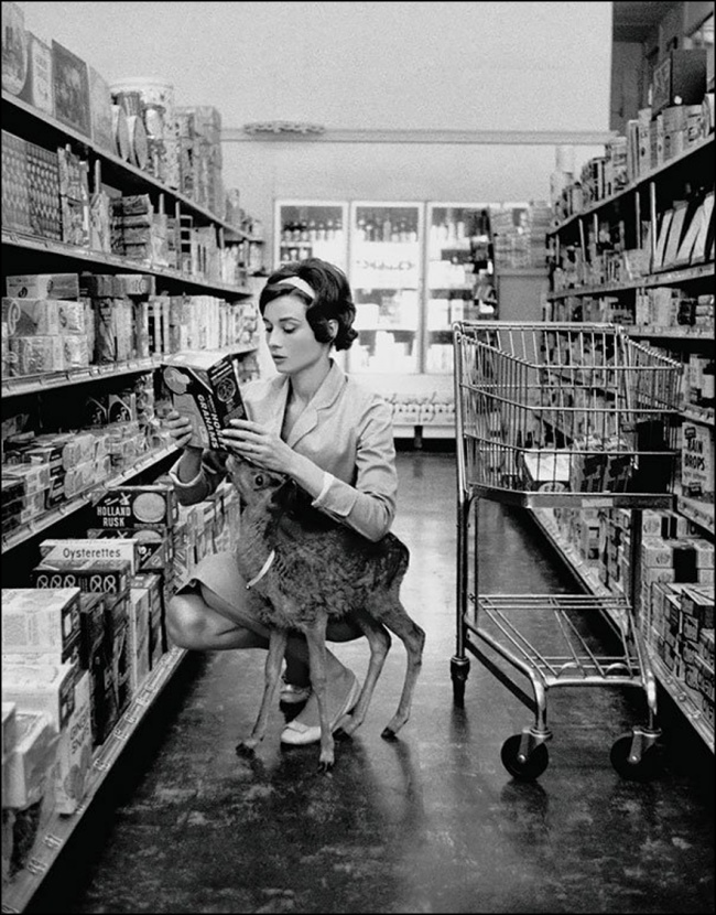 Одри Хепбёрн делает покупки со своим олененком, Беверли Хиллз, 1958.