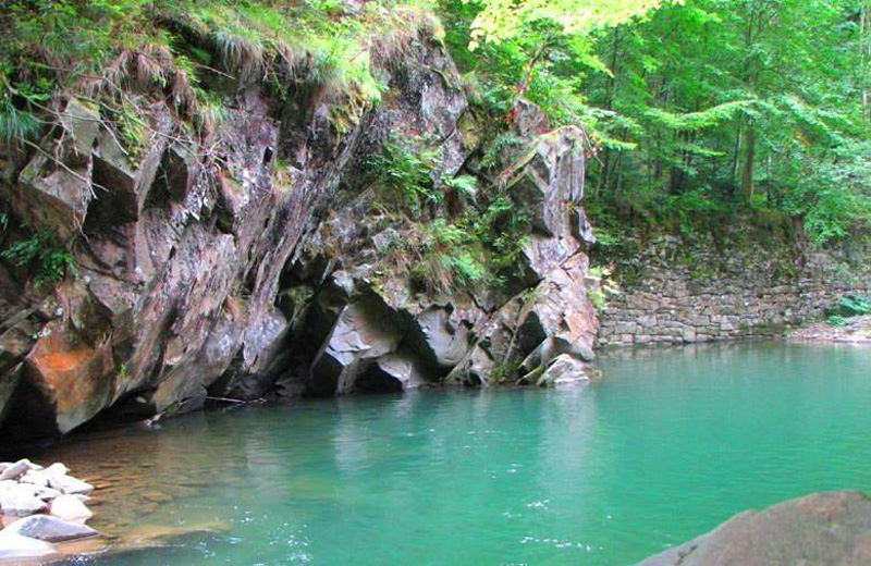 Река Люта, около села Черноголова, Великоберезнянского района, Закарпатская область
