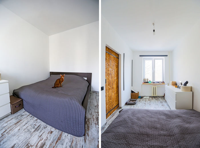 Комната аскетична: кровать, комод и абиссинский рыжий кот. 