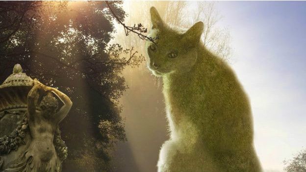 Теперь господин Сондерс сам создает образы фантастических кошек из настоящих кустарников и деревьев.