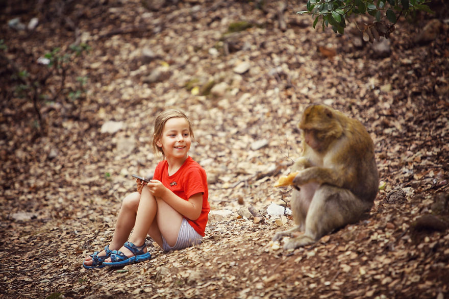Встреча с дикой мавпочкой в Марокко 