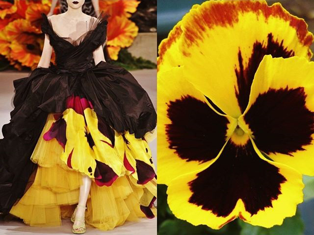  Christian Dior Fall 2010 Couture • & • Golden pansy.