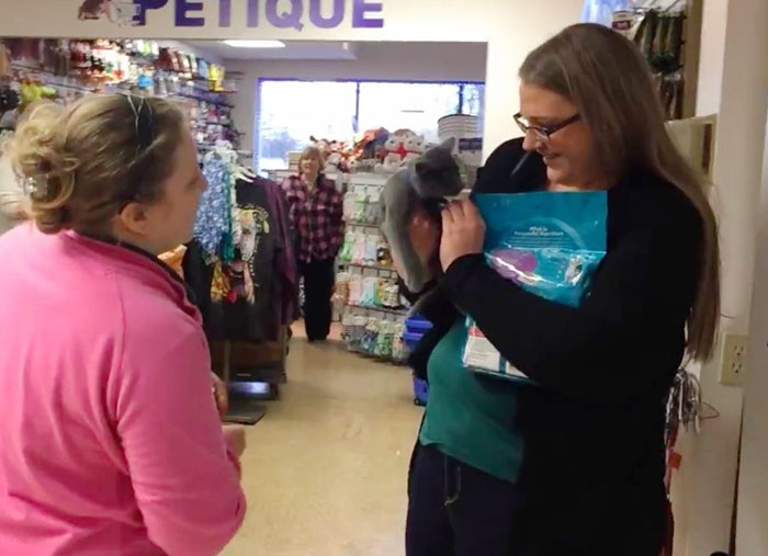 Это Кейт Вудлей и она понятия не имела, что происходит когда ей просто подарили котенка в магазине