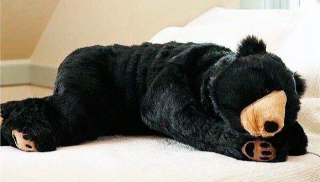 Уникальный hand-made: в Японии шьют "спальники" из гигантских медведей