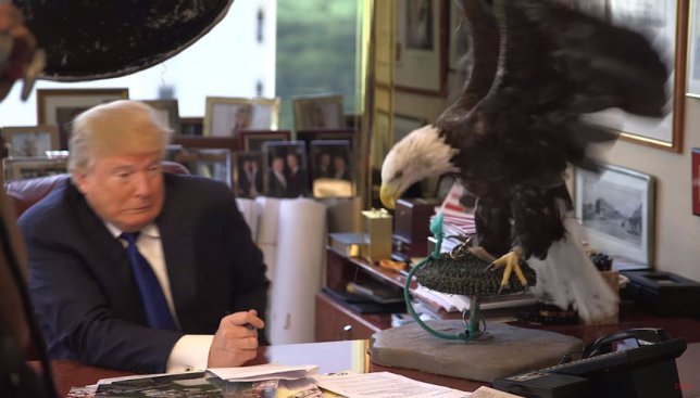 Уникальные снимки: на кандидата в президенты США Дональда Трампа накинулась птица