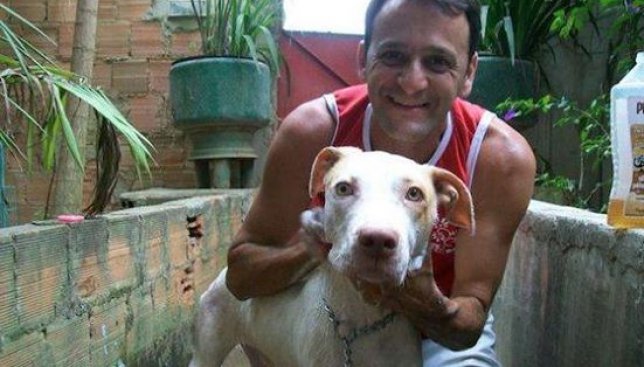 Собака, который был обречен: как любовь одного человека может спасти жизнь