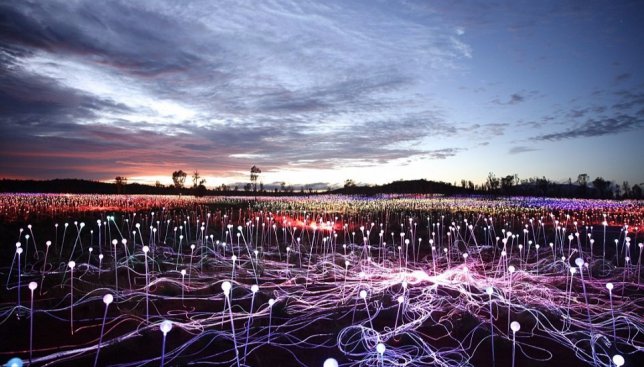 Да будет свет: в Австралии создали светодиодное поле, которое поражает своей красотой (Фото)