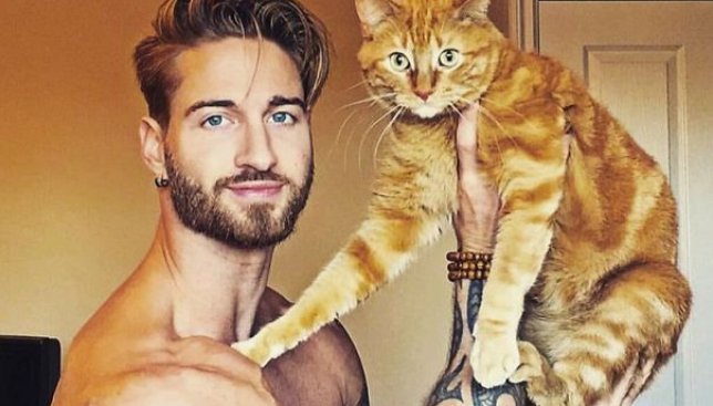 14 горячих парней и их домашние кошки: instagram с ними набрал почти 100 тис. подписчиков