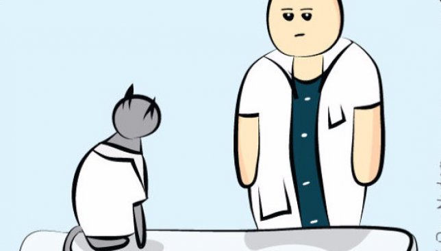 Веселые иллюстрации: что будет, если кот станет ученым и сможет проводить опыты