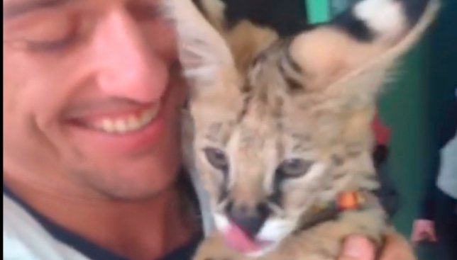 Первая ракетка Украины Александр Долгополов показал своего необычного домашнего кота (Видео)